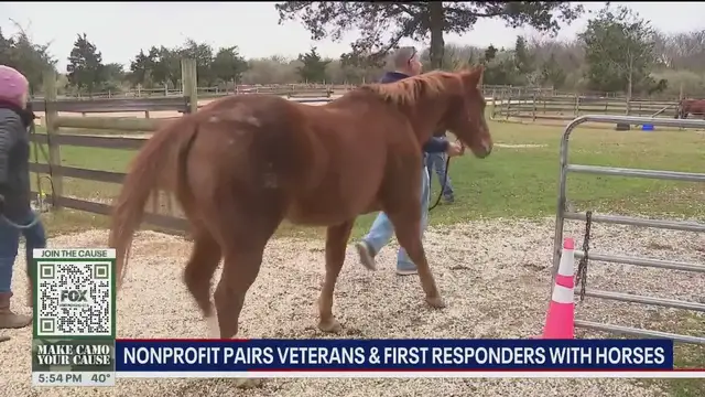 'Video thumbnail for Nonprofit pairs vets and first responders with horses'