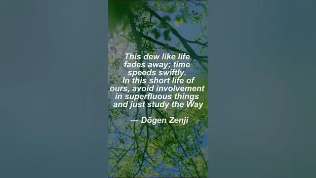 Video thumbnail for Life is short...#lifeisshort #zenquotes #shorts