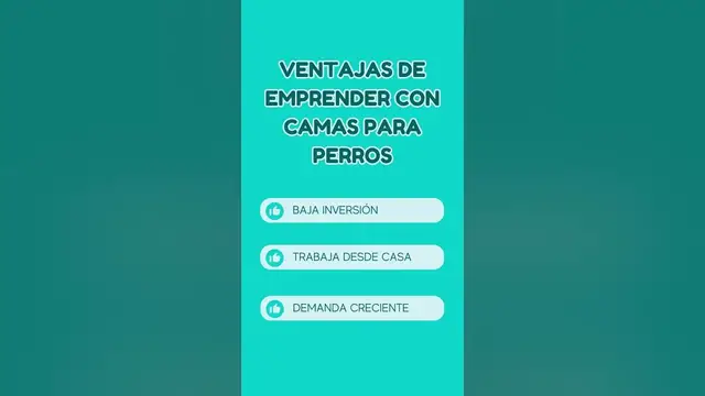 'Video thumbnail for 🐕¿Quieres emprender pero temes la inversión inicial?     #camasparaperros #negociodesdecasa'