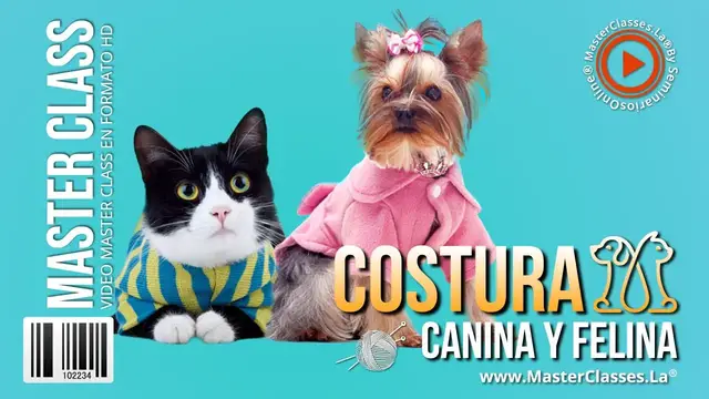 'Video thumbnail for Costura canina. Crea bonitos diseños para tu mini pincher🐕'