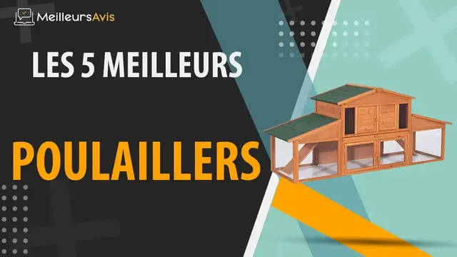 Video thumbnail for ⭐️ MEILLEUR POULAILLER - Avis & Guide d'achat (Comparatif 2021)