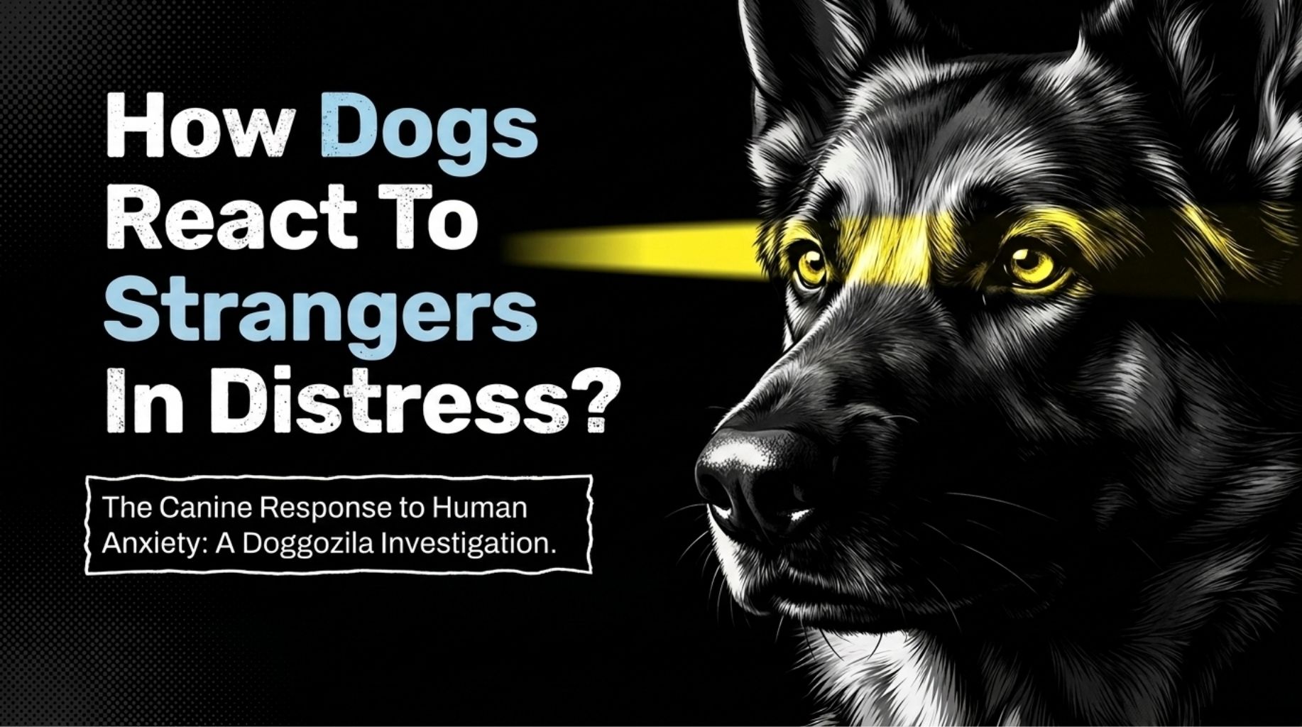 Video thumbnail for The Science of Dog Empathy Toward Strangers