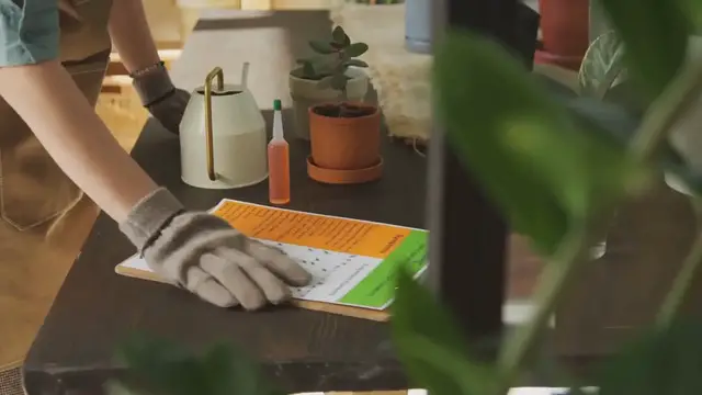 Video thumbnail for How to Grow Succulents Indoors