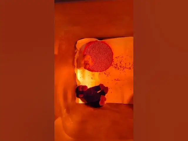 Video thumbnail for Baby Chick in Food #Shorts