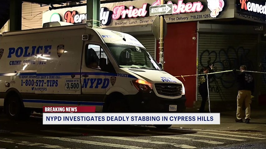 Video thumbnail for Man stabbed to death near Van Siclen Avenue subway station