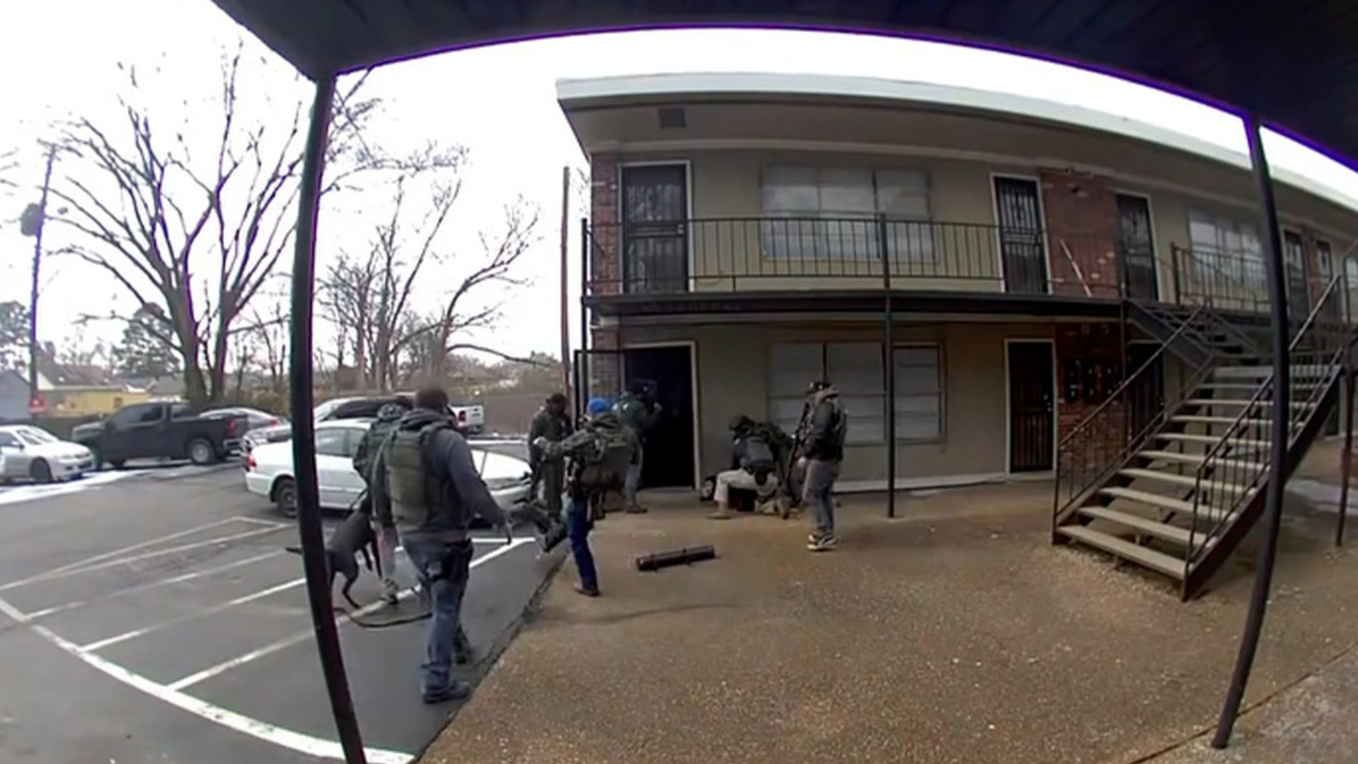 Video thumbnail for US federal agent breaks pet dog’s rib in Tennessee