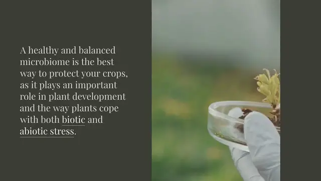 Video thumbnail for Soil and Microbiome: the dynamic duo