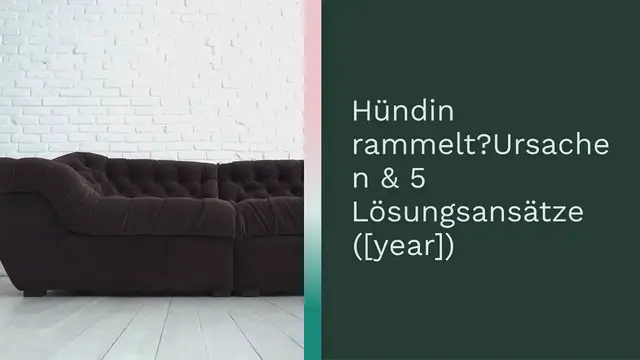 Video thumbnail for Hündin rammelt? Ursachen & 5 Lösungsansätze (2024)