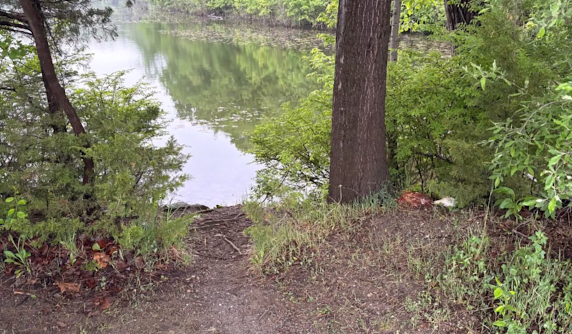 Video thumbnail for Disturbing discovery of headless birds sparks investigation in Putnam County