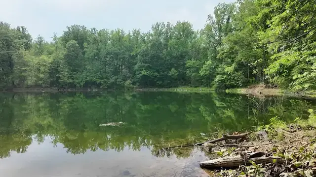 Video thumbnail for Community members heartbroken after 18-year-old man dies in local pond