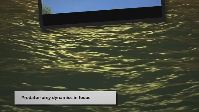 Video thumbnail for Do Hawks Eat Bobcats? | Unveiling the Predator-Prey Dynamics