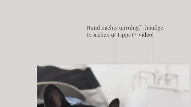 Video thumbnail for Hund nachts unruhig? 3 häufige Ursachen & Tipps (+ Video)