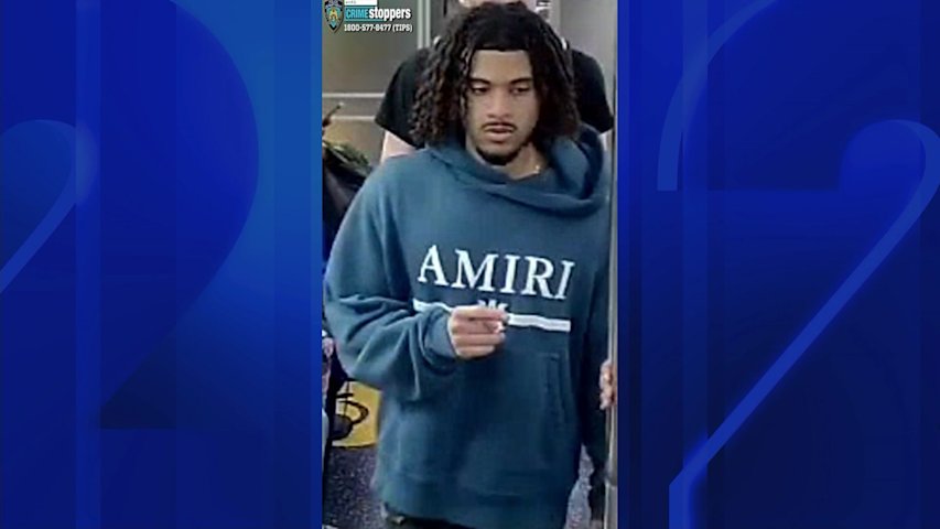 Video thumbnail for Man stabbed at Euclid Avenue subway station; duo on the run