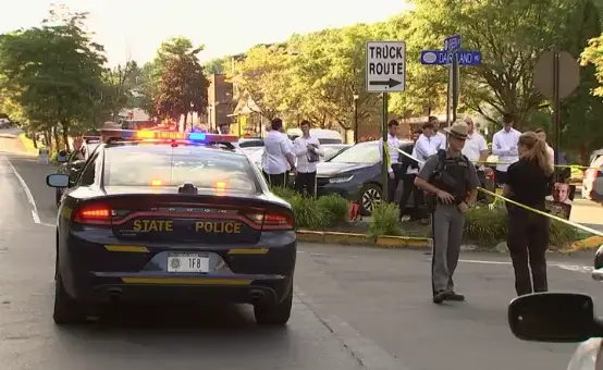 Video thumbnail for Former Woodridge trustee killed in hit-and-run outside Village Hall