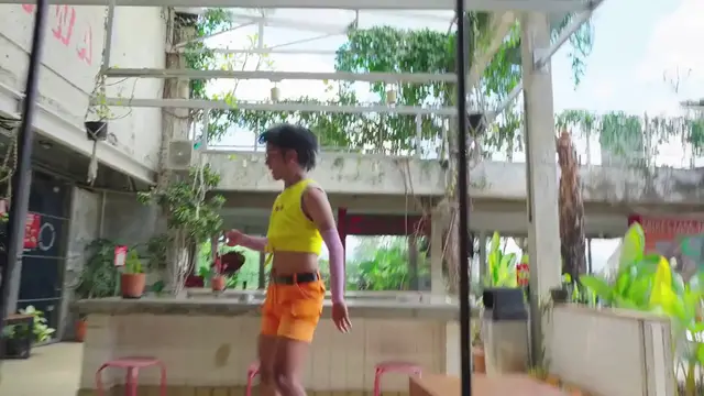 Video thumbnail for Best Begonias For Indoors