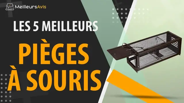 Video thumbnail for ⭐️ MEILLEUR PIÈGE À SOURIS - Avis & Guide d'achat (Comparatif 2021)