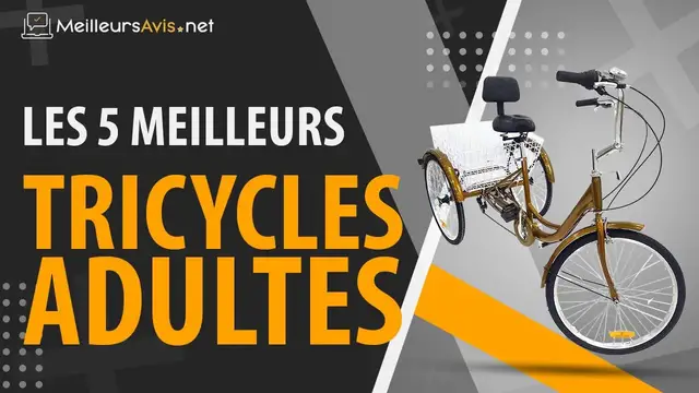 Video thumbnail for ⭐️ MEILLEUR TRICYCLE ADULTE - Avis & Guide d'achat (Comparatif 2021)