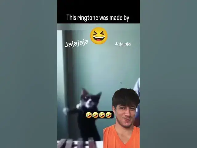 Video thumbnail for The piano cat does not exist. I present to you the pianist cat 😂🤣🤣