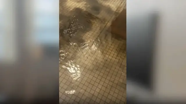 Video thumbnail for Clinton Hill residents seek help from landlord after burst pipe floods apartment building