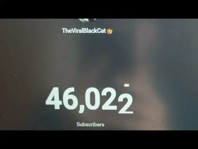 Video thumbnail for On way to 47,000 subscribers 🥳with kitty 🐈