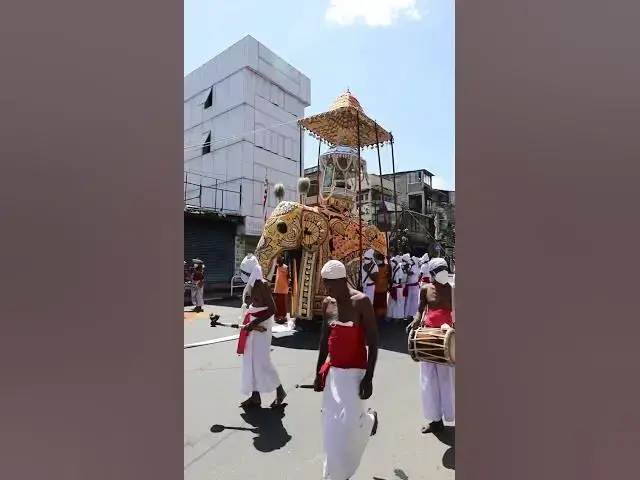 Video thumbnail for Afternoon procession to Karaduwa.