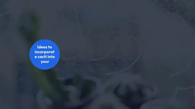 Video thumbnail for Indoor Cactus Gardening Ideas