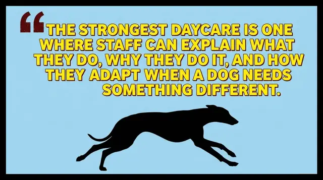 Video thumbnail for How to Evaluate a Dog Daycare Facility?