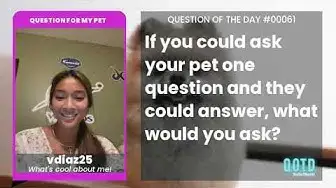 Video thumbnail for vdiaz25 would ask her pet about zoomies. Inquiring minds need to know!