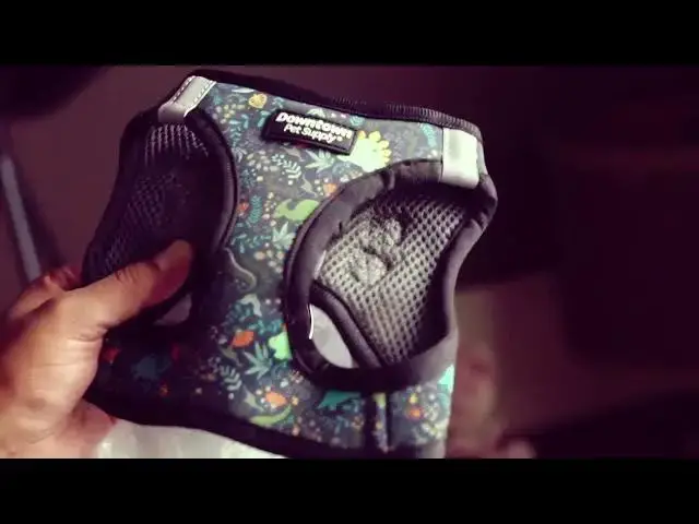 Video thumbnail for Downtown Pet Supply Step-In Adjustable Dog Harness