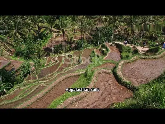 'Video thumbnail for Terrace Farming in the USA Reviving an Ancient Practice for Modern Agriculture'