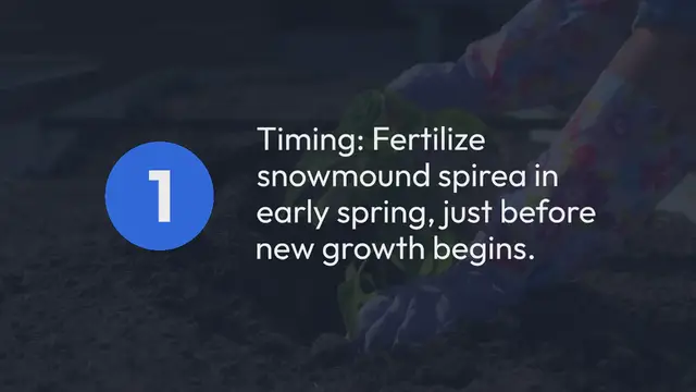 Video thumbnail for Snowmound Spirea Fertilizing Guide
