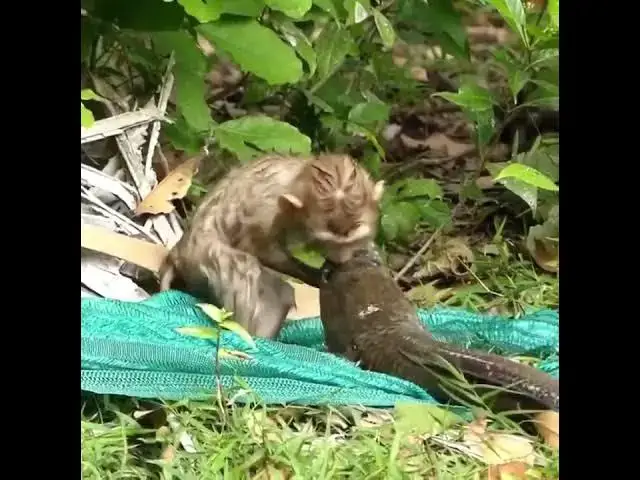 Video thumbnail for How karma pays off