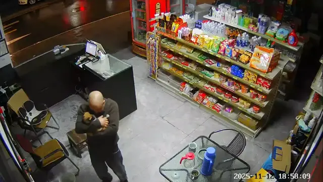 Video thumbnail for Lost Cat Returns to Owner in Zhejiang Convenience Store