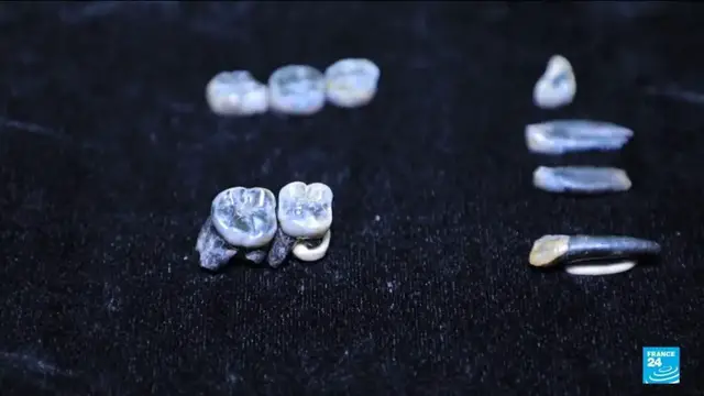 'Video thumbnail for Teeth that shake up human evolution: Ethiopian fossils shed light on ancestors'