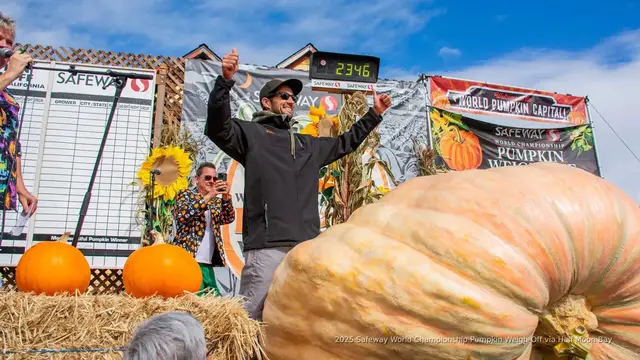 'Video thumbnail for California engineer wins 2025 Safeway Pumpkin Weigh-Off with 2,346 lb gourd'