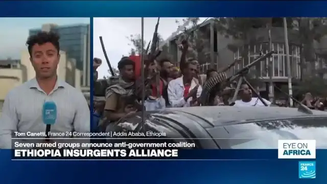 Video thumbnail for Ethiopian armed groups announce anti-government alliance
