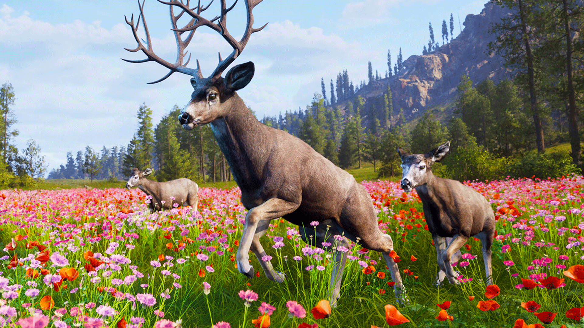 Video thumbnail for Way of the Hunter 2 - Official Early Access Announcement Trailer