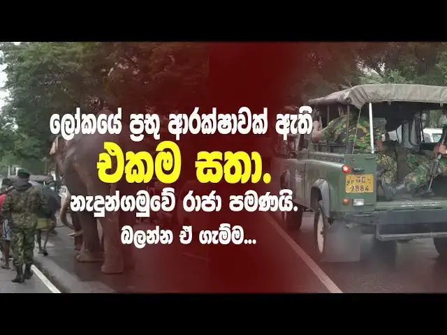 Video thumbnail for Nedungamuwe Raja is the only animal in the world with elite protection.