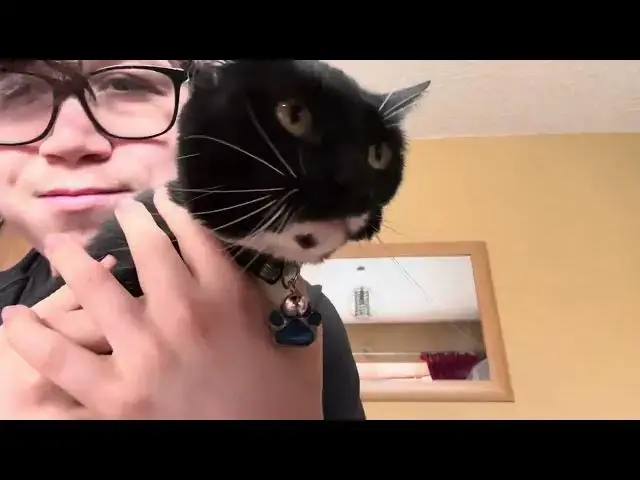 Video thumbnail for Let’s hug my cat 🐱 🥹