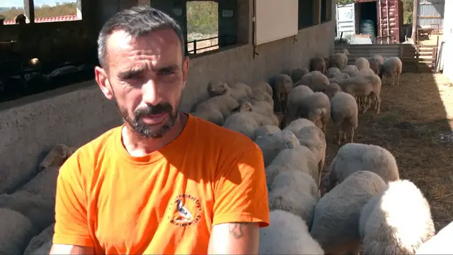 'Video thumbnail for Greek farmers accuse government of complicity in EU subsidy scandal'