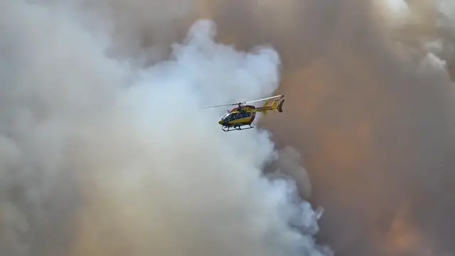 Video thumbnail for 'Fire risk will increase globally', expert warns as wildfire rages south of Paris