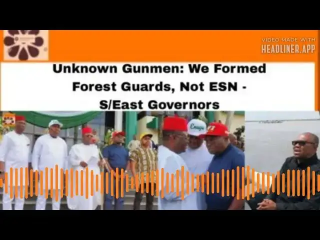 Video thumbnail for Unknown Gunmen: We Formed Forest Guards, Not ESN - S/East Governors ~ OsazuwaAkonedo