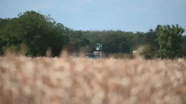 Video thumbnail for Hungary: Hungarian defense forces jet crashes, pilot ejects safely.