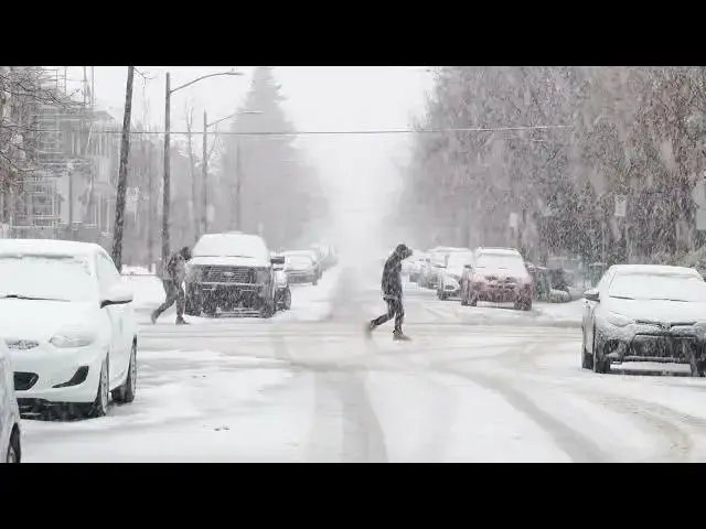 Video thumbnail for Beautiful Winter   Snowfall