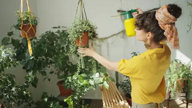 Video thumbnail for Indoor Air-Purifying Plants for Vertical Gardens