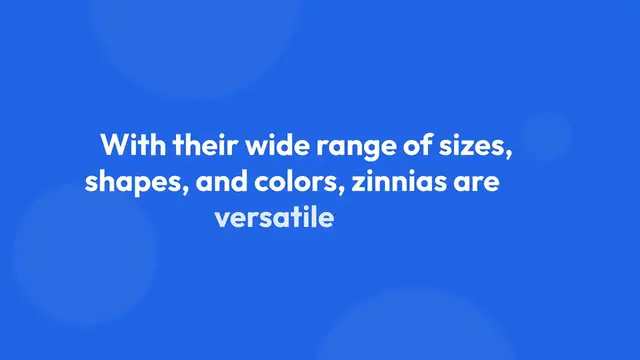 Video thumbnail for Zinnia Varieties For Gardens