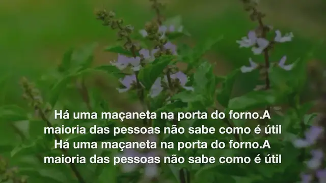 Video thumbnail for Há uma maçaneta na porta do forno. A maioria das pessoas não sabe como é útil