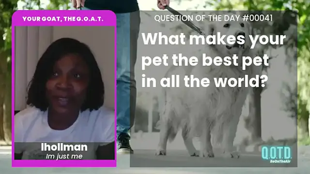 Video thumbnail for lhollman's dog Simon is talented, brilliant, show-stopping, never the same, totally original...