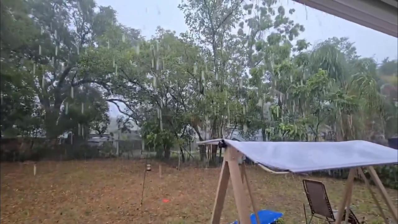 Video thumbnail for US: Heavy Rain Soaks Backyard as Thunderstorm Hits Florida.