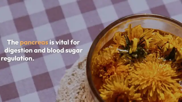 Video thumbnail for Foods for Pancreatic Health